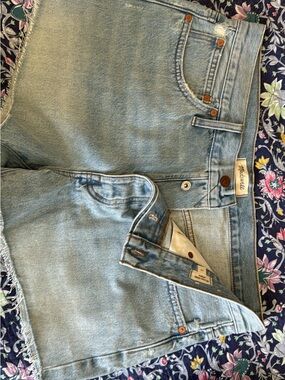 Madewell Light Blue Relaxed Denim Shorts